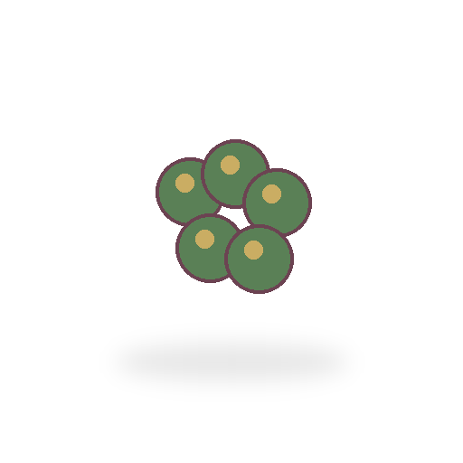 Juniper Berries