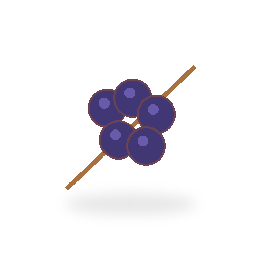 Skewer of Fresh Red and Black Berries