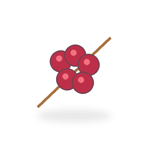 brochette de framboises fraîches