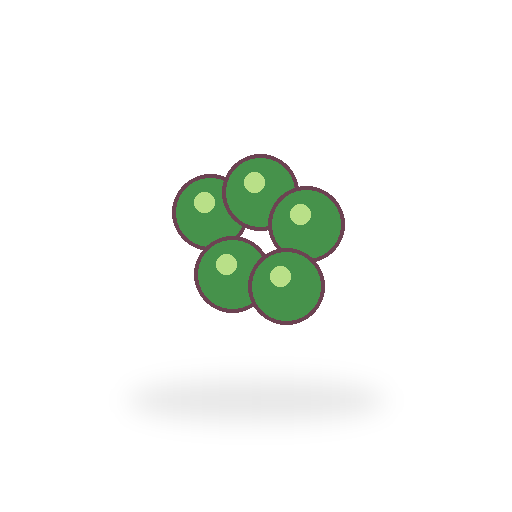 Halved Green Grapes