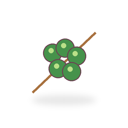 Skewer of Three White Grapes