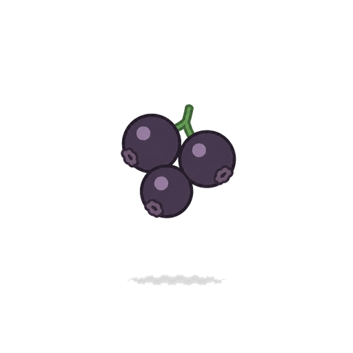 three fresh blackcurrants