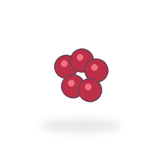 Raspberry and Mint