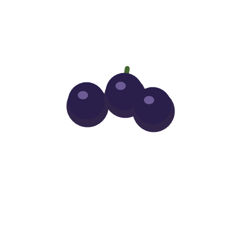 blackcurrant berries