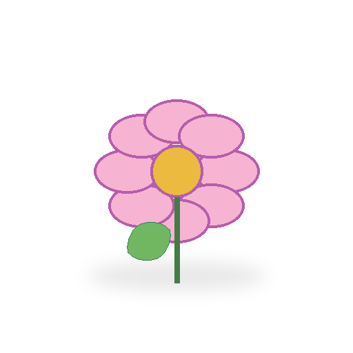 Edible Flower