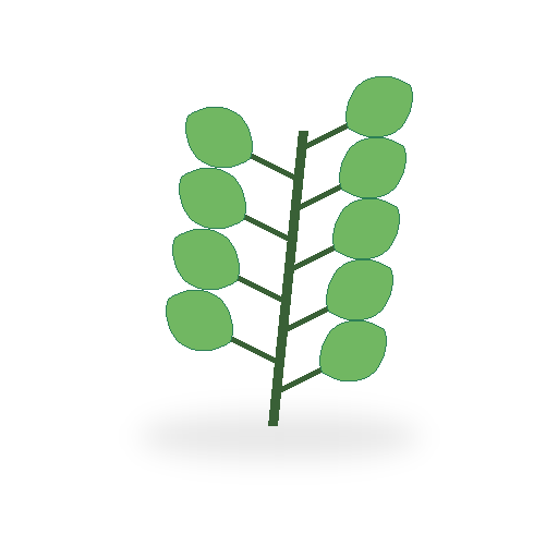 feuille de menthe