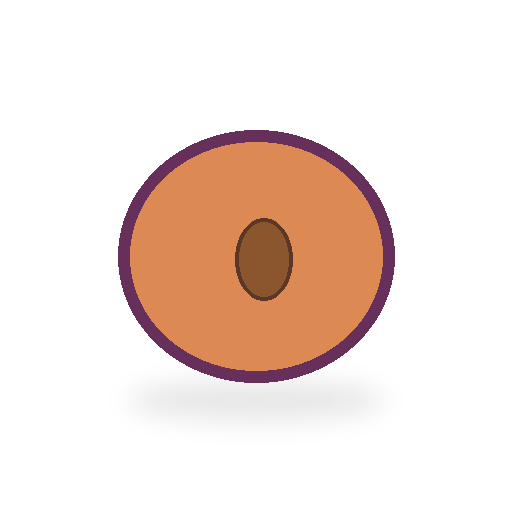 tranche de prune