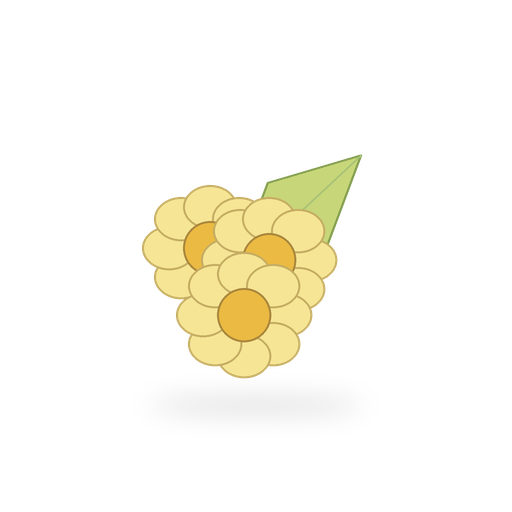 Linden blossom