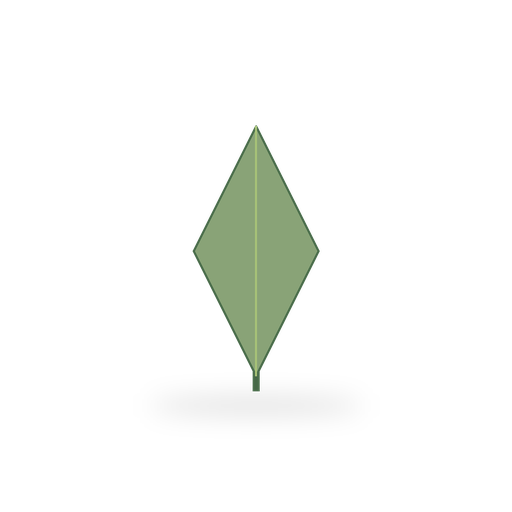 Olive leaf
