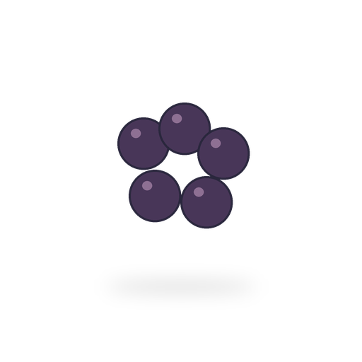 Aronia berries