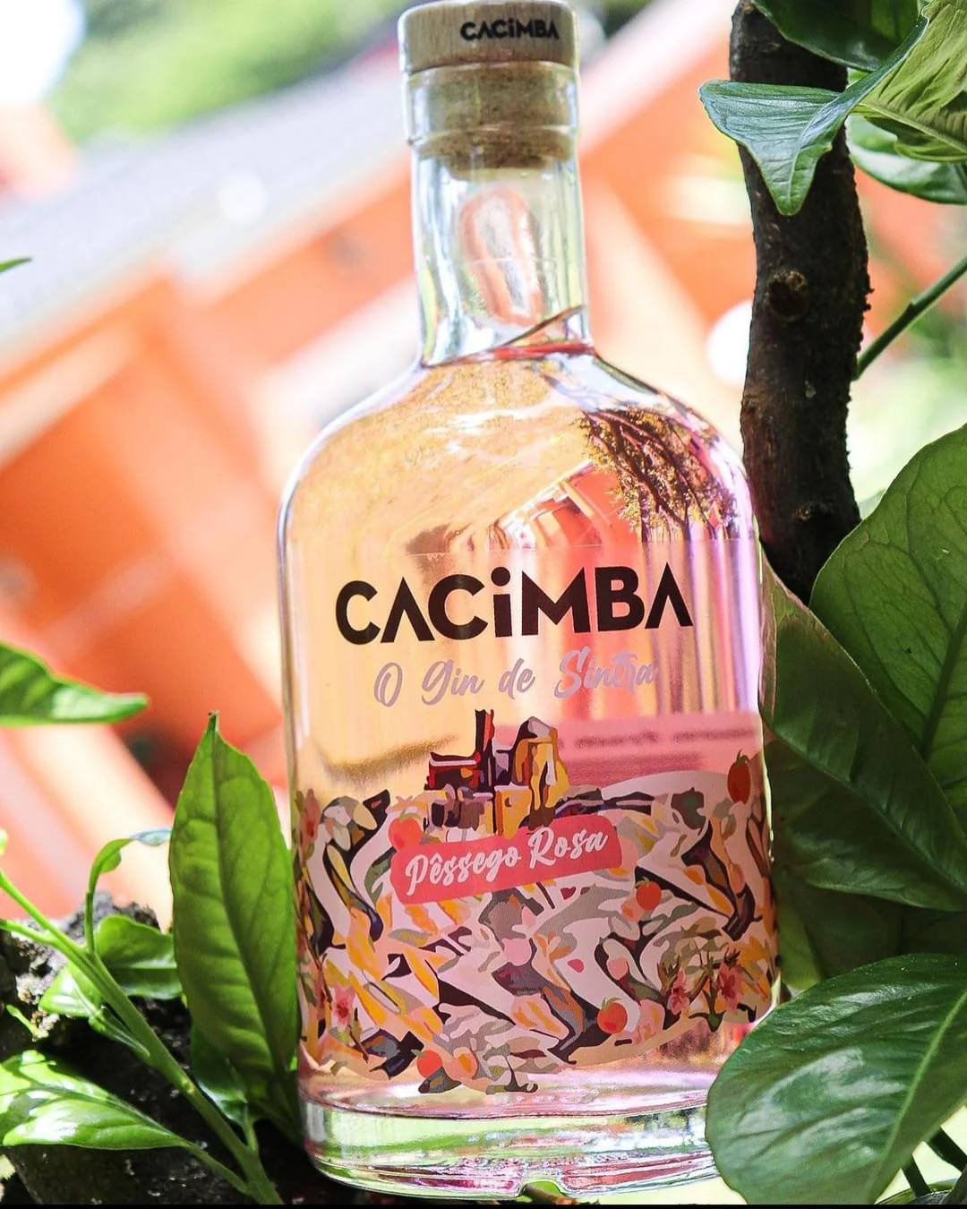 Cacimba Gin - Rose Peach