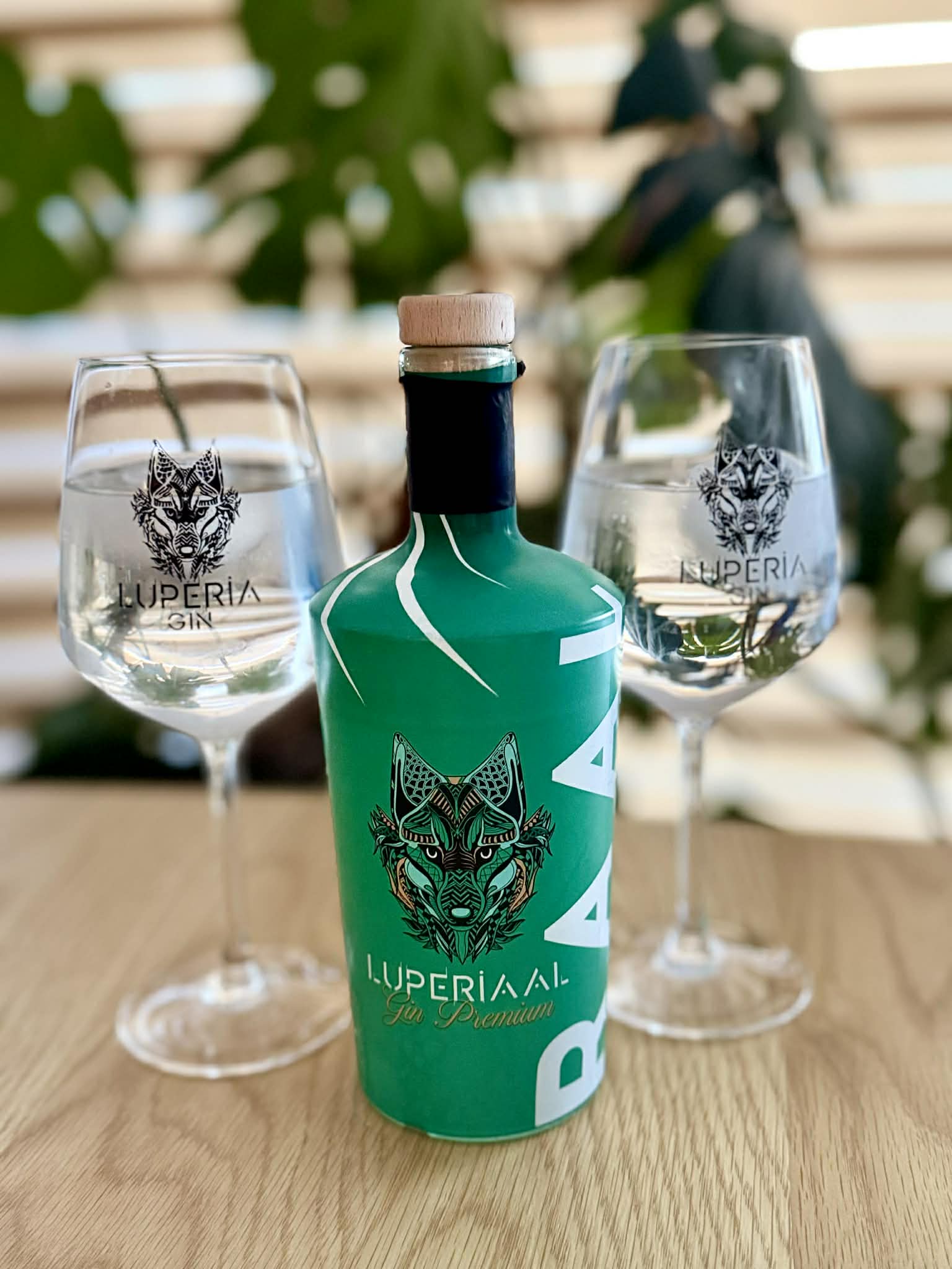 Dégustation du gin Luperiaal en gin tonic dans des verres Luperia