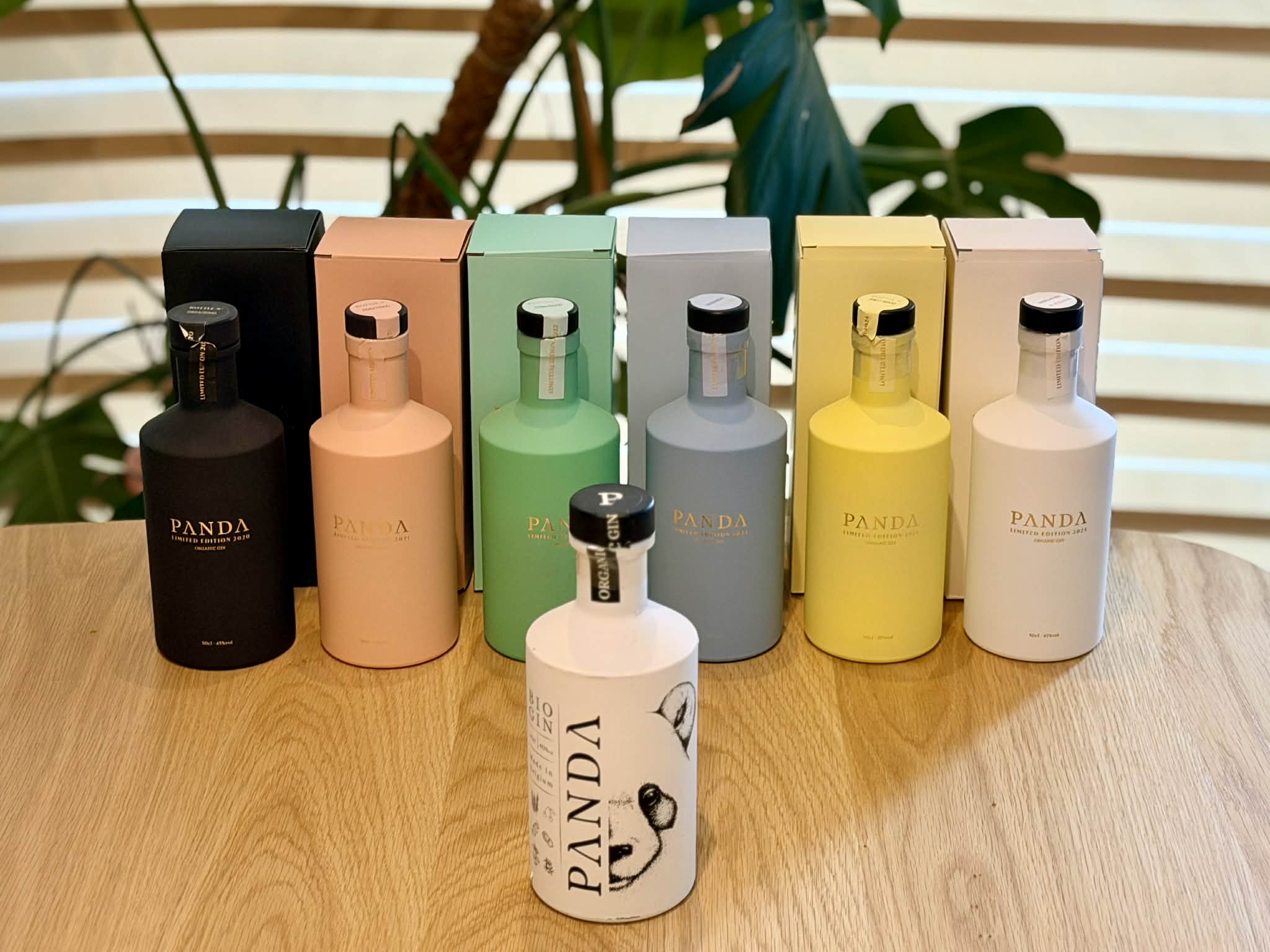Collection complète Panda Gin Colors avec ambiance naturelle