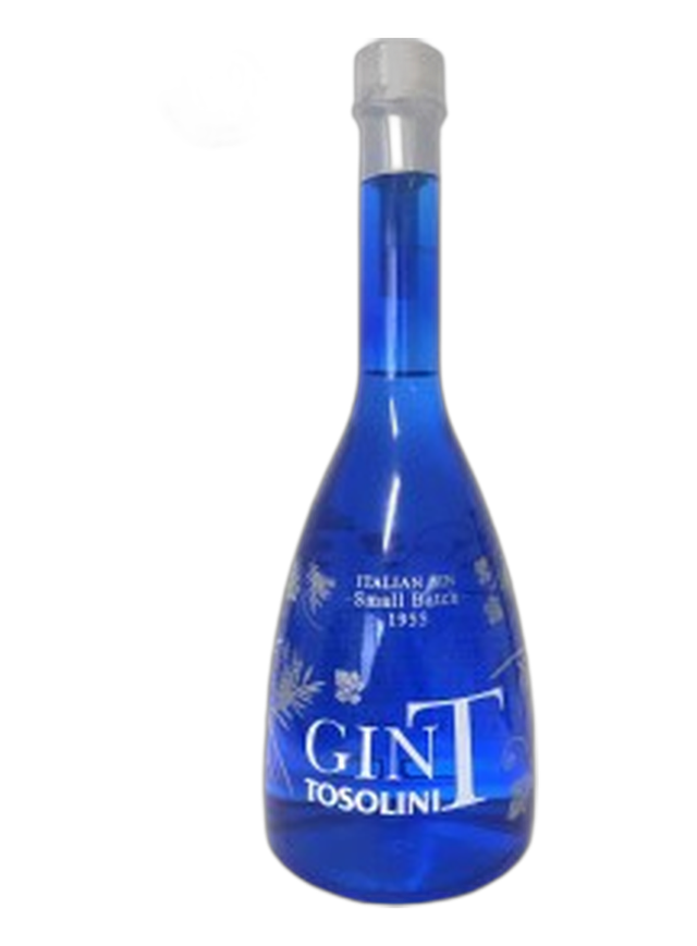 Gin T Tosolini