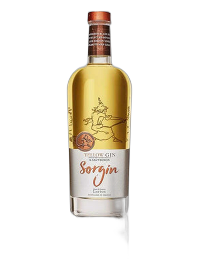 Sorgin
