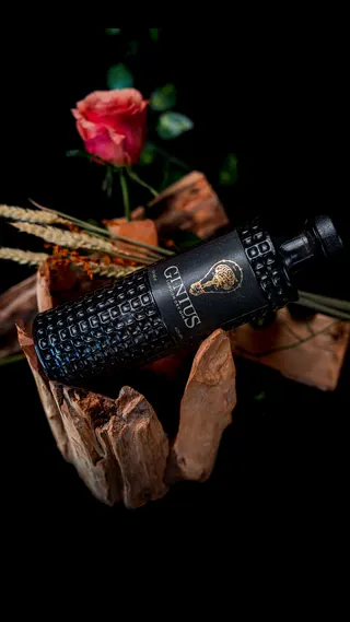 Ginius Belgian Dry Gin