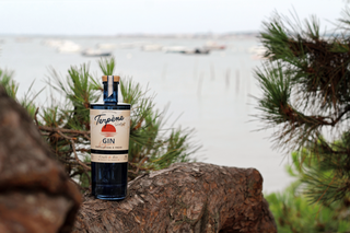 Terpene Gin Secret Spot